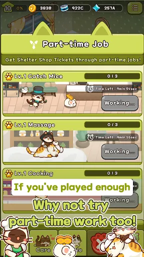 Dream Cats | Games | XWorld