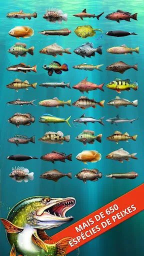 Let's Fish: Simulador de pesca | Jogos | XWorld