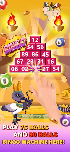 Bingo Zap | Jogos | XWorld