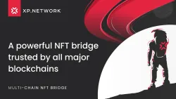 XWorld | XP.NETWORK NFTBridge