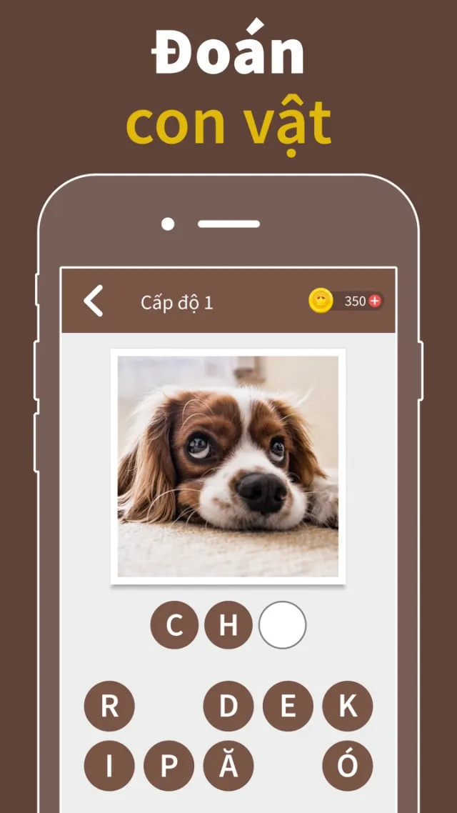 Động vật đố | Permainan | XWorld