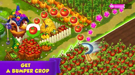 Royal Farm | เกม | XWorld