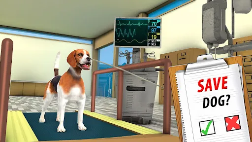 Animal Shelter Simulator Game | Games | XWorld Animal Shelter Simulator Game | Games | XWorld
