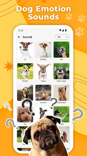 Dog Translator & Trainer | Games | XWorld