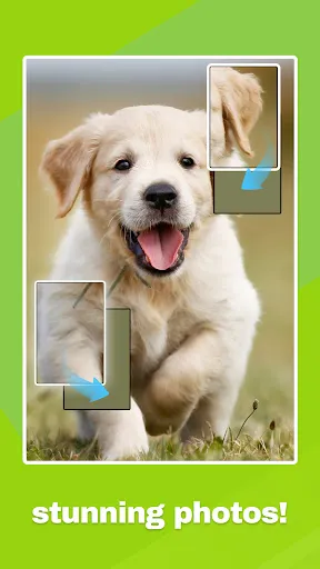 Jigsaw Block Puzzle | Games | XWorld