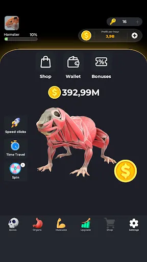 Hamster Clicker Earn Coins | Games | XWorld