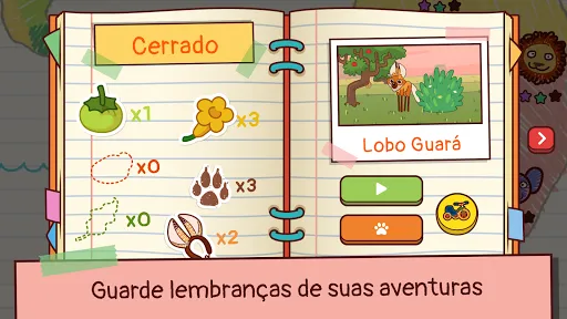 Uau Animal Esconde - Esconde | Jogos | XWorld