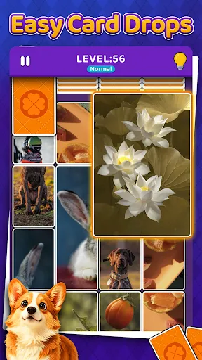 Drop Solitaire: Пазлы из карт | Игры | XWorld Drop Solitaire: Пазлы из карт | Игры | XWorld