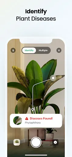 Plant App - Plant Identifier | 游戏 | XWorld