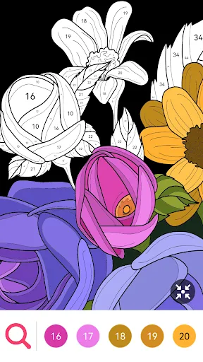 Newbie Coloring:Number & Color | เกม | XWorld