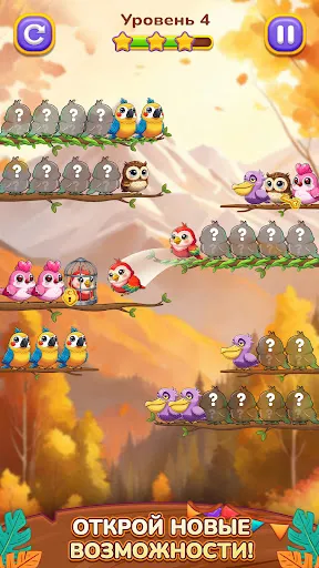 Сортировка Птиц 3: Головоломка | Игры | XWorld