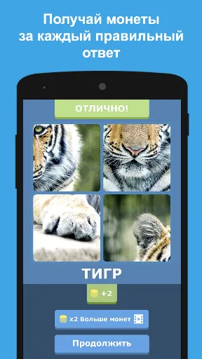Угадай животных по фрагментам | Games | XWorld