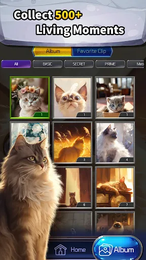 My Cat Momo | Games | XWorld