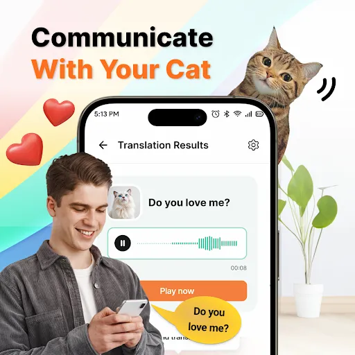 Human to Cat Translator | Games | XWorld