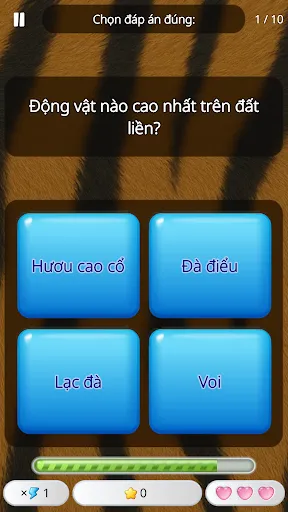 Đoán Con Vật: Trò Chơi Đố | Games | XWorld