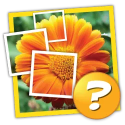 XWorld | 1 Pic 1 Word: What's the word?