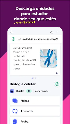 Quizlet: fichas creadas con IA | juego | XWorld