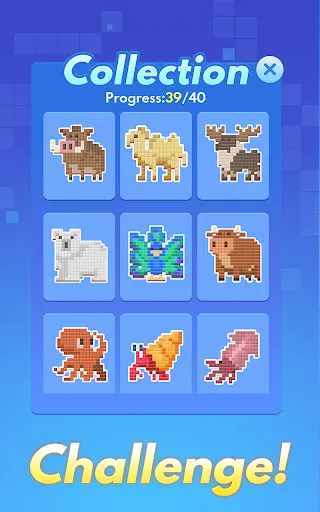 Cube Bloom | Jogos | XWorld