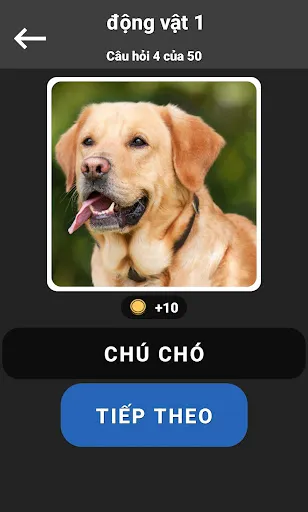 GuessPho Quiz bằng tiếng Việt | Games | XWorld