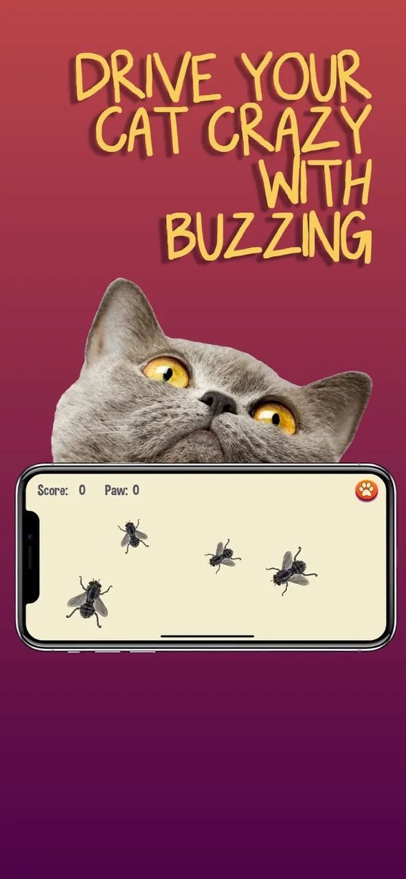 Game Kucing | Permainan | XWorld