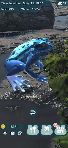 Frog Friends | 游戏 | XWorld