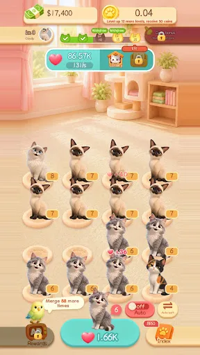Merge Kitty World | Permainan | XWorld Merge Kitty World | Permainan | XWorld
