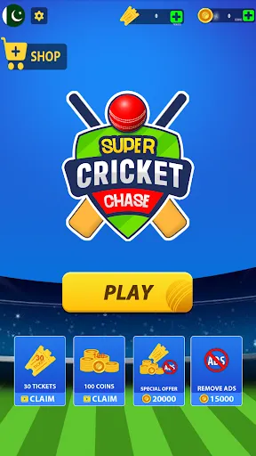 Super Chase Cricket Challenge | Games | XWorld