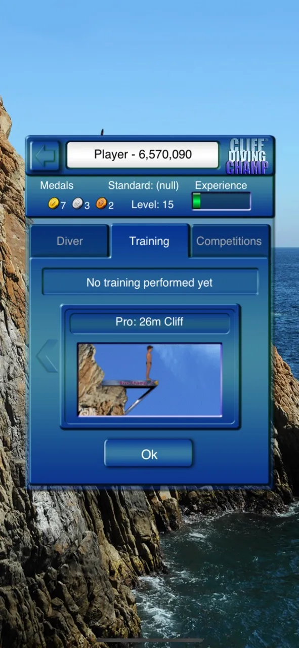 Cliff Diving Champ | Games | XWorld