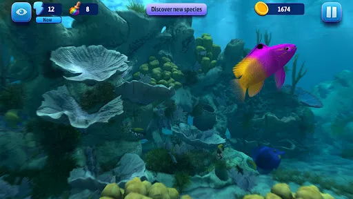 Fish Farm Relax: 3D Aquarium | Permainan | XWorld Fish Farm Relax: 3D Aquarium | Permainan | XWorld