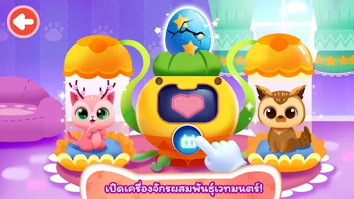 แพนด้าน้อย: รับเลี้ยงลูกแมว | เกม | XWorld