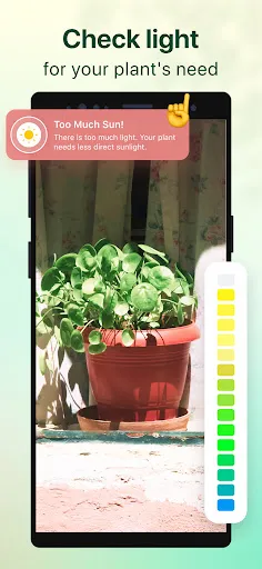 Plant Parent-Guia de Cuidados | 游戏 | XWorld