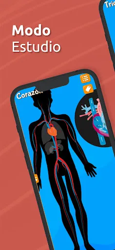 Atlas Anatomía: Cuerpo Humano | juego | XWorld