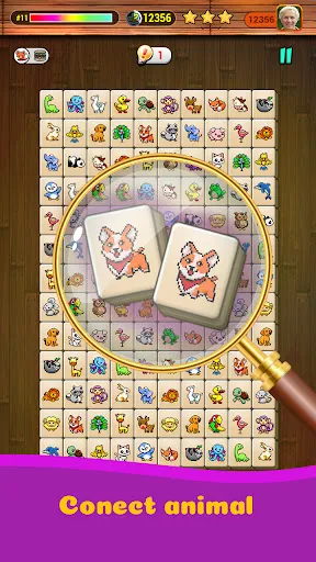 Onet X Connect Matched Animal | Games | XWorld