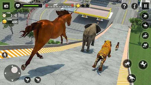 animal jogos : animal corrida | Jogos | XWorld