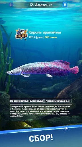Fishing Travel: Hook & Explore | Игры | XWorld Fishing Travel: Hook & Explore | Игры | XWorld