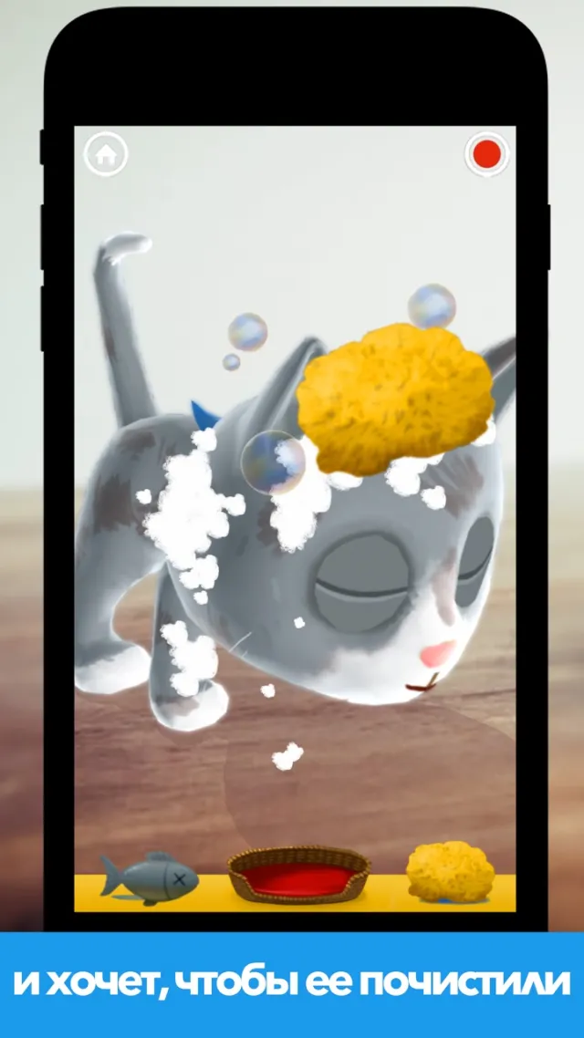 Fiete Cats AR | Игры | XWorld