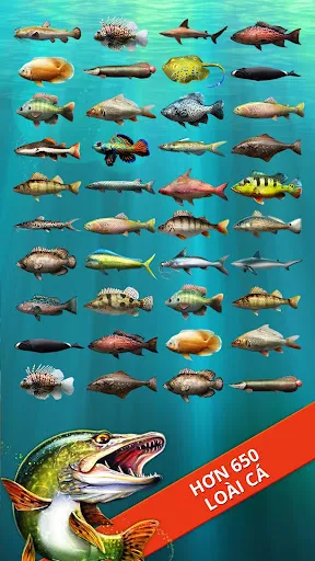 Let's Fish: Trò Chơi Câu Cá | Games | XWorld