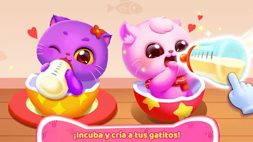 Juego de Gatitos del Panda | juego | XWorld