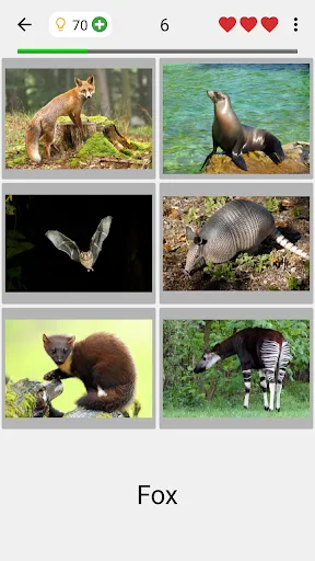 Animals Quiz Learn All Mammals | Games | XWorld