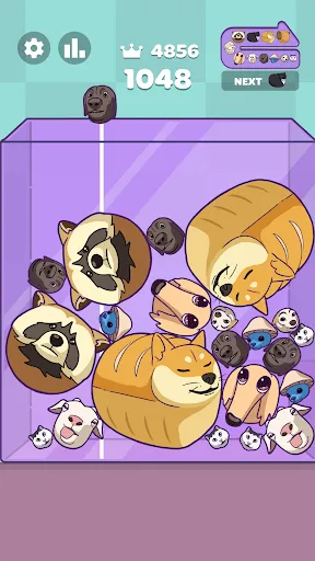 Meme Merge: Drop Puzzle | 游戏 | XWorld