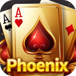 XWorld | Phoenix Responsive Card