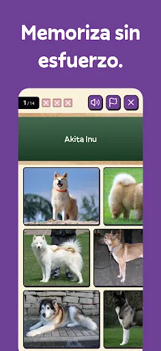 Squiz - Aprende jugando | juego | XWorld Squiz - Aprende jugando | juego | XWorld