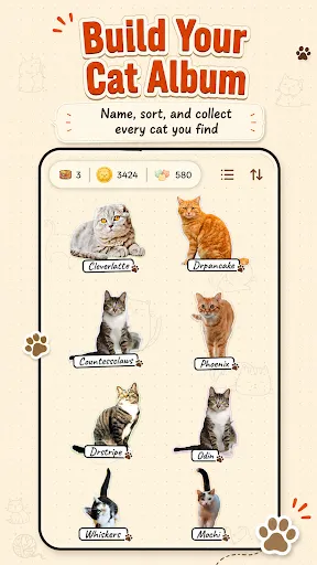 CatchCat | Permainan | XWorld CatchCat | Permainan | XWorld