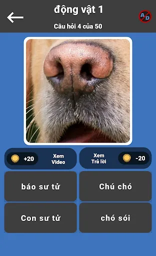 GuessPho Quiz bằng tiếng Việt | Games | XWorld