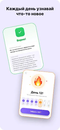 МозгоДрачка | Игры | XWorld