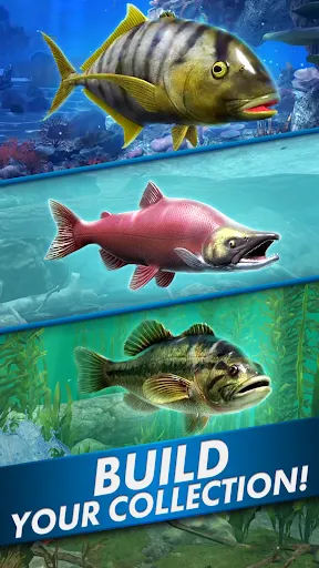 Go Fishing! Fish Game | Permainan | XWorld