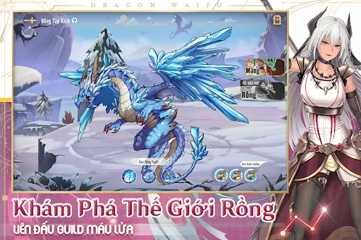 Dragon Waifu: Vợ Rồng | Games | XWorld