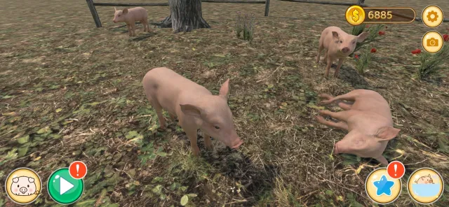 Piglet | Games | XWorld