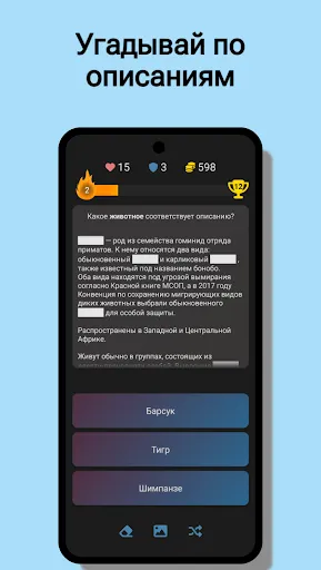 LinkQuiz: Логика и Знания | Игры | XWorld LinkQuiz: Логика и Знания | Игры | XWorld