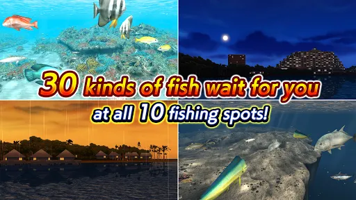 Excite BigFishing Ⅲ | Permainan | XWorld